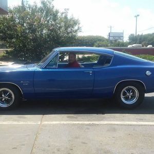 Meet your Posher, Roy